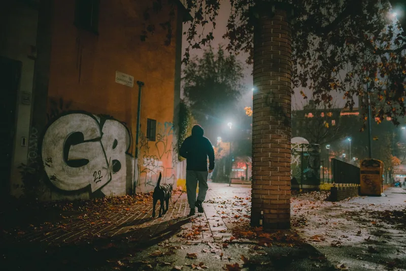Gece ışıklı sokakta yürüyen köpek ve sahibi